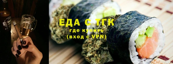 индика Дмитров