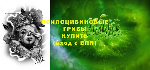 мдма Ельня