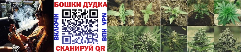 Шишки марихуана THC 21%  Кудрово 